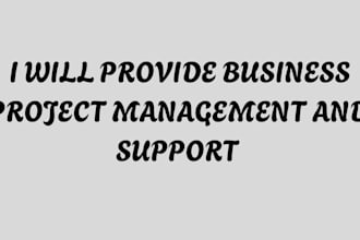 provide business project management and support