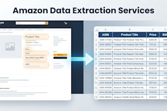 do data extraction from amazon