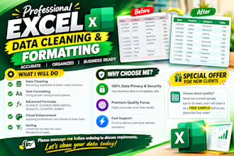 clean and format messy excel data professionally