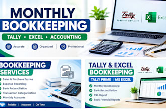 do monthly accounting and bookkeeping in tally or excel online