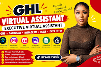 ghl virtual assistant executive virtual assistant carousel insta reel data entry