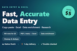 do fast accurate data entry, excel work and data enrichment