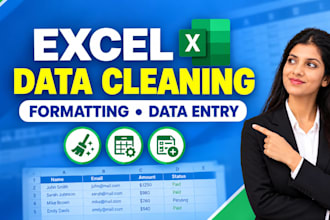 clean, format and enter data in excel