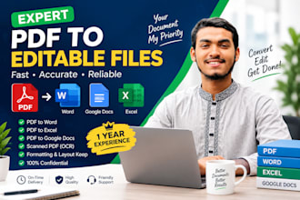 exper professional PDF to word, excel,google docs conversion