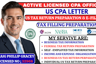 prepare and efile USA tax return for individual, business and tax preparation
