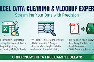 do excel data cleaning vlookup and PDF to excel conversion