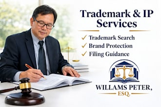 provide trademark search, trademark filing guidance and IP protection
