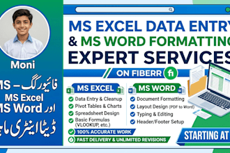 do professitional ms excel data entry and ms word formatting