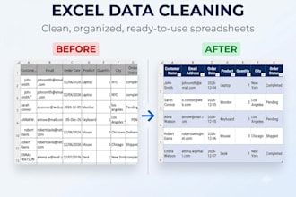 clean, format, organize and edit your excel spreadsheet