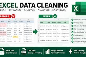 clean, organize and analyze large excel datasets