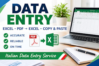 do data entry, exel, copy paste and pdf to excel