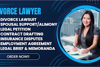 assist pro se litigants in family and divorce cases
