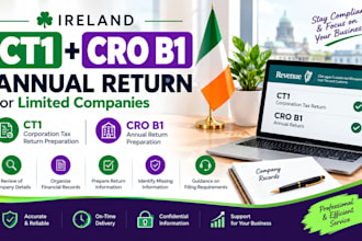 prepare your ireland ct1 and cro b1 annual return for limited companies