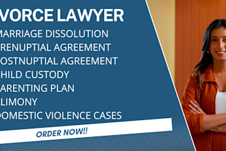 expertly draft your family law, divorce, and child support lawsuits