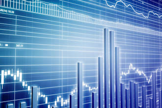 provide professional financial data analysis and risk reports