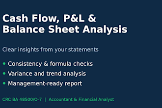 analyze your cash flow, income statement and balance sheet
