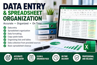 do data entry and spreadsheet organization
