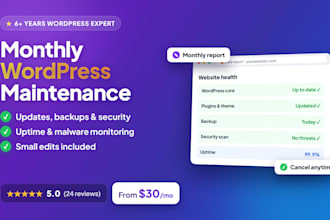 do monthly wordpress maintenance and security updates