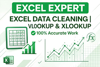 do excel data cleaning, do vlookup formulas and dashboard