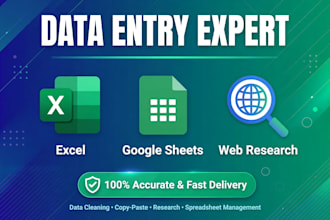 do data entry, web research, excel data entry and google sheets