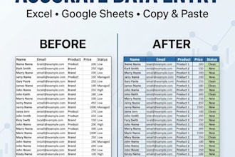 do accurate data entry and organize your spreadsheets