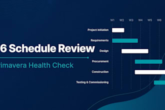 review and health check your primavera p6 schedule