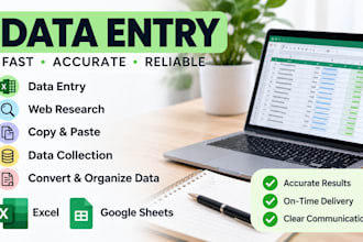 do accurate data entry and web research