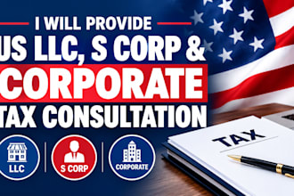 provide us llc, s corp and corporate tax consultation