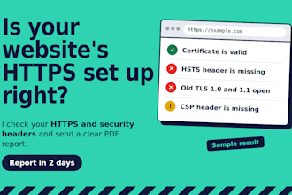 audit your website https and security headers
