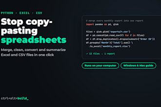 write a python script to clean excel and csv files