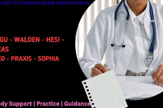 provide online tutoring and exam preparation for nursing and academic courses