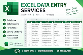 do excel data entry and spreadsheet management