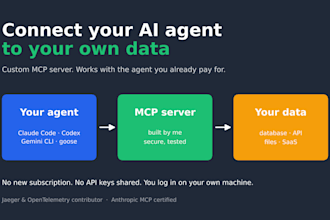 build a custom mcp server connecting claude, codex or any ai agent to your data