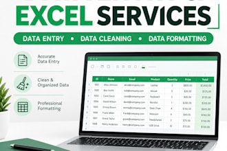 provide data entry and excel services