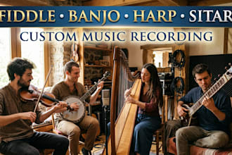 record fiddle, banjo, harp, sitar for your song