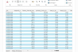 be your professional excel expert for data entry and inventory management