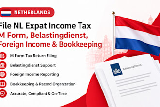 nl expat income tax m form, belastingdienst, vat, foreign income and bookeeping
