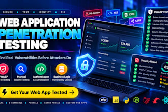 perform web application penetration testing