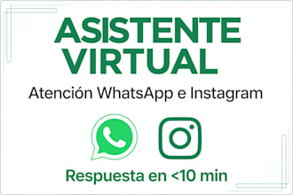 ser tu asistente virtual para atender whatsapp e instagram