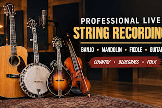 record professional banjo, mandolin, fiddle and guitar for your song