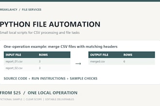 build a python script for local CSV and file automation
