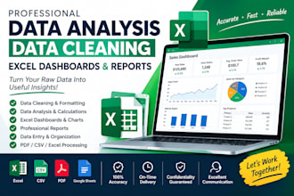 do data analysis, data cleaning, excel dashboards