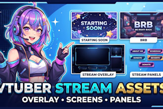design custom vtuber stream assets overlay and stream screens live2d vtuber anim