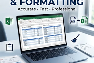 do spreadsheet editing or data entry and formatting