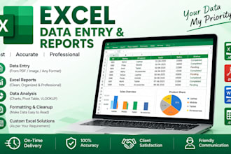 excel data report and data analysis