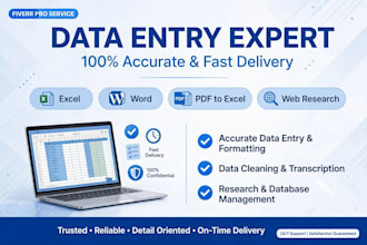 do accurate data entry, excel typing, pdf to excel and web research