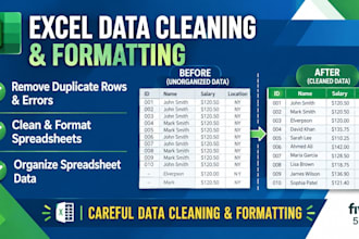 clean, format, and organize excel spreadsheet