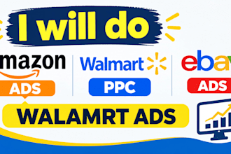 manage amazon ads and walmart PPC, ebay ads professionally