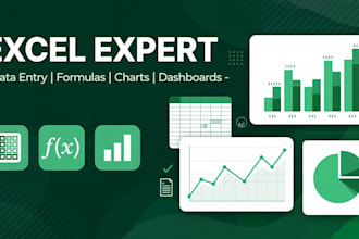 do excel data entry, formulas, charts, and dashboards