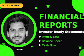 prepare investor ready financial statements and reports in excel